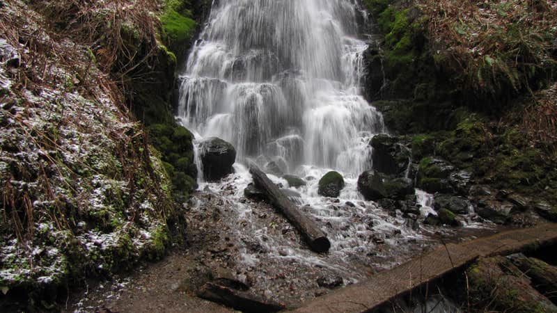 Wahkeena Falls Trail 420 - Adventures with Dotty